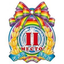 Медаль ТЦ Сфера "2 место"