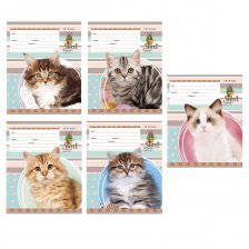 Тетрадь 12л., линия, Проф-Пресс "Пушистый котенок", скрепка, мелованный картон