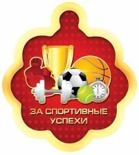 Медаль "За спортивные успехи", 86 мм * 87 мм, кубок, штанга, мяч