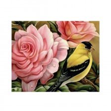 Картина по номерам Alingar, 30х40 см, 22 цвета, с акриловыми красками, холст, "Птица в цветах"