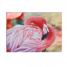 Алмазная мозаика Рыжий кот, на подрамнике, с частичным заполнением, (матов.), 30х40 см, 15 цветов, "Розовый фламинго"