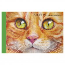 Альбом для рисования А4 40л., Канц-Эксмо, скрепка, мелованный картон, "Рыжий котик"