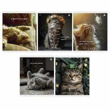 Тетрадь 48л., А5, клетка, Alingar "Кошки", скрепка, мелованый  картон ( стандарт), блок офсет, 5 дизайнов в пленке т/у