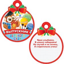 Медаль "Выпускник детского сада", 100 мм * 100 мм, сова учитель