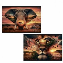 Альбом для рисования А4 40л., Alingar, на скрепке, мелованный картон (стандарт), 100 г/м2,  "Животные", 2 дизайна в пленке т/у