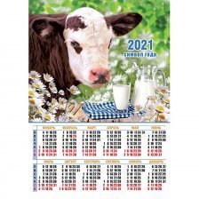 Календарь настенный листовой А2, Квадра "Символ года бык" 2021 г.