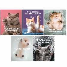 Тетрадь 80л. А5 клетка Канц Эксмо "Подкрадули", гребень, мелованный картон, выб. лак, 5 дизайнов