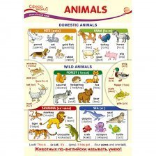 Плакат обучающий А3, "Английский язык в начальной школе. Animals (Животные)", ТЦ Сфера