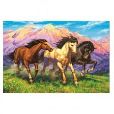 Картина по номерам Рыжий кот, 40х50 см, с акриловыми красками, холст, "Резвые лошади"