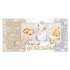 Конверт для денег Мир открыток "С днем свадьбы!", 226*194мм, пластизоль