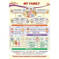 Плакат обучающий А3, "Английский язык в начальной школе. My family. (Моя семья)" ТЦ Сфера