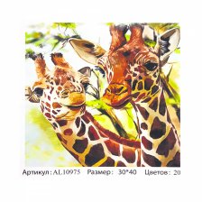 Картина по номерам Alingar, холст на подрамнике, 30х40 см, 20 цветов, с акриловыми красками,  "Жирафы"