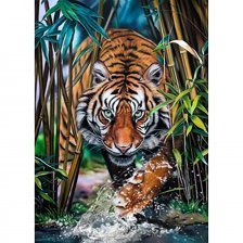 Картина по номерам Рыжий кот, 40х50 см, с акриловыми красками, холст, "Красивый тигр"