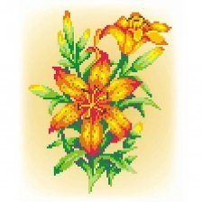 Набор для вышивания мулине, М. П Студия, 21*30/16*20 см, 10 цветов, ( в наборе схема, канва, инструкция) "Лилии"
