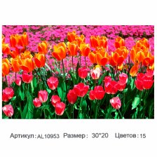 Алмазная мозаика Alingar, на подрамнике, с полным заполнением, (матов.) 20х30 см, 15 цветов, "Тюльпаны"
