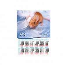 Календарь-плакат А3 "Символ года"
