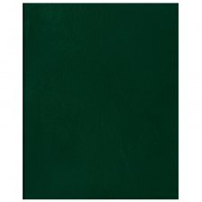 Тетрадь 48л., А5, клетка, Полином , скрепка, обложка бумвинил, тёмно-зелёный