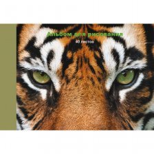 Альбом для рисования А4 40л., Канц-Эксмо, КБС, матовая ламинация, мелованный картон, "Тигр"