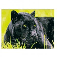 Картина по номерам Рыжий кот, 30х40 см, с акриловыми красками, холст, "Пантера"