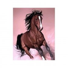 Картина по номерам Alingar, 40х50 см, 20 цветов,с акриловыми красками, холст, "Конь"