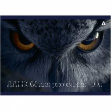 Альбом для рисования А4, 40л, Alingar, гребень, целлюлозный картон 210г/м2, офсет 100 г/м2,, "Сова", 1 дизайн в пленке т/у