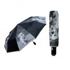 Зонт женский, полный автомат в индивидуальной упаковке, цвета в ассортименте