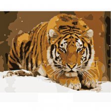 Картина по номерам Рыжий кот, 22х30 см, с акриловыми красками, холст, "Амурский тигр"