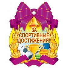 Медаль ТЦ Сфера "За спортивные достижения!"