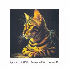 Картина по номерам Alingar, 40х50 см, холст на подрамнике, "Котик"