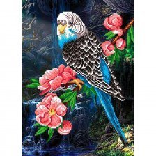 Набор для вышивания на габардине, М. П Студия, 50*40/35*25 см, бисер 20 цветов (приобретается отдельно), инструкция, "Волнистый попугай"