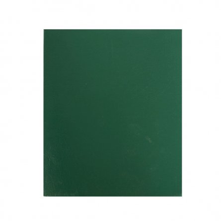 Тетрадь 48л., А5, клетка, Alingar, скрепка, бумвинил, зеленый фото 1