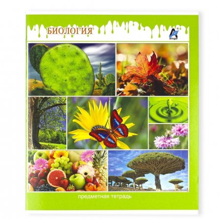 Тетрадь предметная "Биология" А5 48л., со справочным материалом, скрепка, мелованный картон (стандарт), блок офсет, Alingar "Мир вокруг нас" фото 1