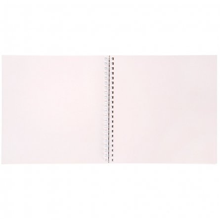 Скетчбук 190*190 мм., 40л., "Веселый гусь", 150 г/м2 Проф-Пресс, спираль, мелованный картон, жёсткая подложка, мелованная бумага фото 2