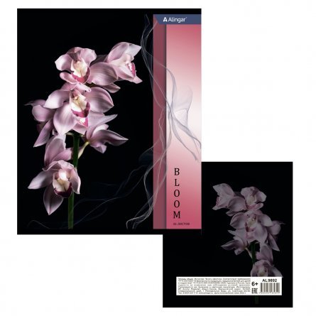 Тетрадь 36 л., А5, клетка, Alingar "Орхидеи", скрепка,  мелованный картон, 4 дизайна в пленке т/у фото 3