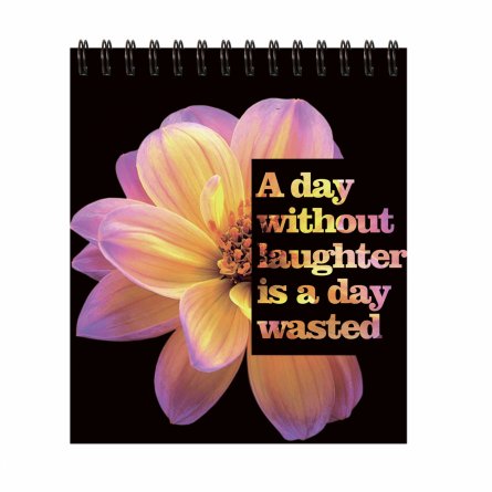 Блокнот 48 л., А6+, гребень, Alingar, "Цветы на черном", клетка, Soft touch, мелованный картон, ассорти фото 3