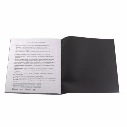 Тетрадь предметная "Геометрия" А5 48л., клетка, со справ матер, скрепка, чёрная пластиковая обложка, блок офсет, Alingar "Стильная классика" фото 4