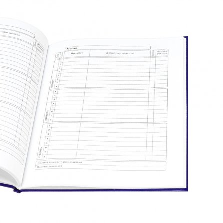 Дневник школьный Проф-Пресс,1-11 кл., 40л., 7БЦ, глянцевая ламинация, "Герб на синем фоне-3" фото 3