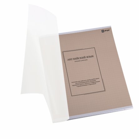 Комплект предметных тетрадей А5 48л., 10 предметов, со справ. матер, скрепка, пластиковая прозрачная обложка, блок офсет,Alingar "Classic NEW" фото 5