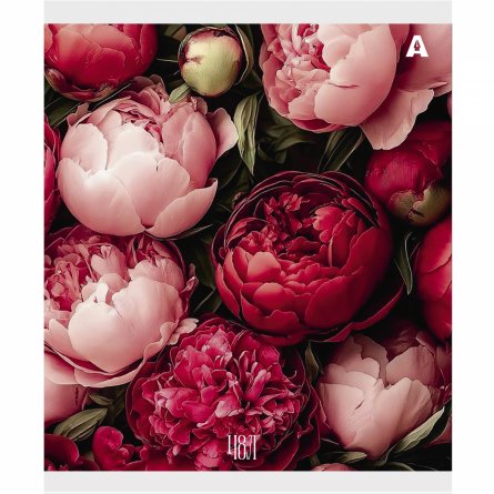 Тетрадь 48л., А5, клетка, Alingar "Нежные цветы", скрепка, мелованый  картон ( стандарт), блок офсет, 5 дизайнов в пленке т/у фото 5