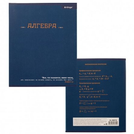 Тетрадь предметная "Алгебра"  А5 48л.,  со справочным материалом, на скрепке, мелованный картон, Alingar "Классика" фото 2