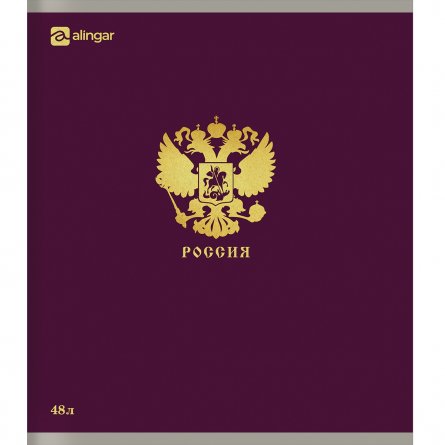 Тетрадь 48л., А5, клетка, Alingar "Россия", скрепка, мелованный  картон, блок офсет, 5 дизайнов в пленке т/у фото 5