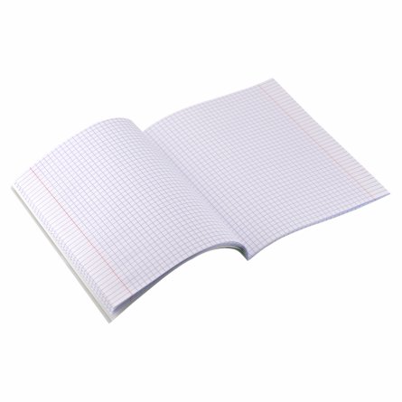 Комплект предметных тетрадей А5 48л., 10 предметов, со справ. матер, скрепка, пластиковая прозрачная обложка, блок офсет,Alingar "Classic NEW" фото 23