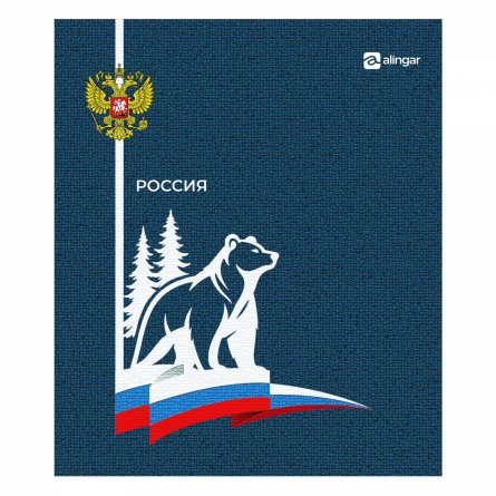 Тетрадь 48л., А5, клетка, Alingar "Россия", скрепка, мелованный картон (стандарт), блок офсет, 4 дизайна в пленке т/у фото 6