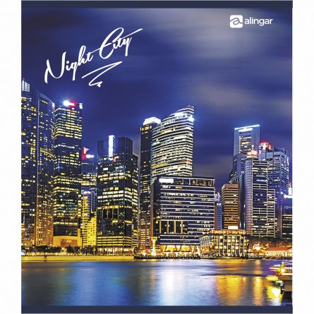 Тетрадь 36 л., А5, клетка, Alingar "Night city "(Вечерний город), скрепка, офсет 60г/м2,  мелованный картон (стандарт), 4 дизайна в пленке т/у фото 4