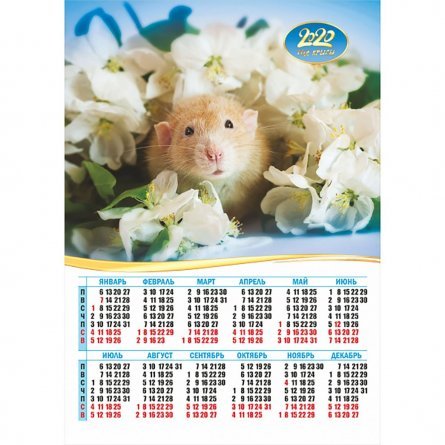 Календарь-плакат А3 "Символ года" фото 1