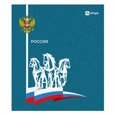 Тетрадь 48л., А5, клетка, Alingar "Россия", скрепка, мелованный картон (стандарт), блок офсет, 4 дизайна в пленке т/у фото 4