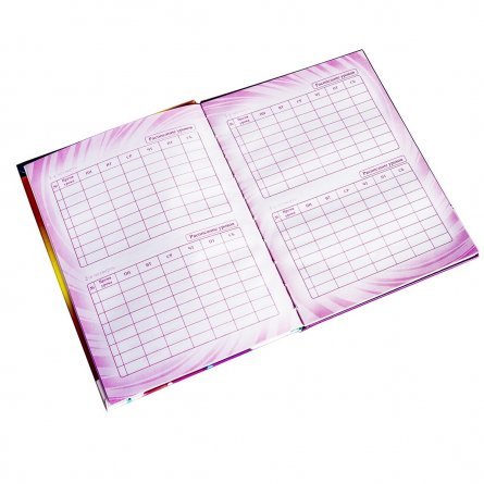 Дневник школьный Alingar 1-11 кл. 48л., 7БЦ, ламинированный картон, поролон,  глиттер,  "Beautiful Princess" фото 11