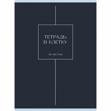 Тетрадь 48л., А4, клетка, Канц-Эксмо "Туманность", скрепка, мелованный картон, матовая ламинация фото 1