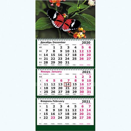 Календарь квартальный на 3 гребнях 3-х блоч Полином "Живая природа. Бабочка 2021 г." фото 1