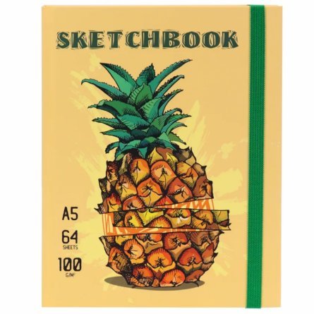 Скетчбук А5., 64л.,"Pineapple" 100г/м2, Миленд, 7БЦ, ламинация, Soft Touch, резинка, блок-офсет фото 1